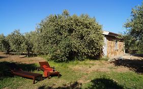 Sa Tanca De Mannoi